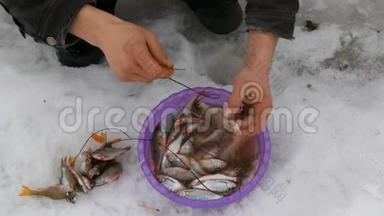 渔夫用绳子串着刚钓到的鱼。 冬天钓鱼，<strong>鱼儿</strong>躺在雪地里